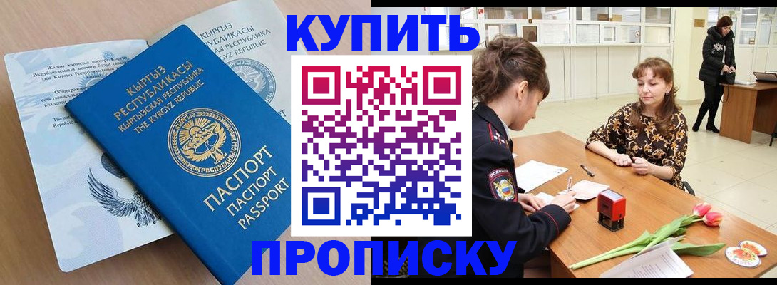 прописка гарантия в Камышине